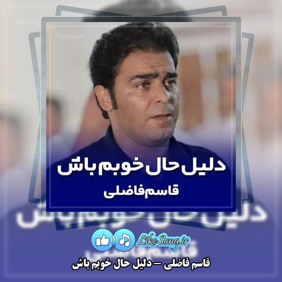 دانلود آهنگ قاسم فاضلی دلیل حال خوبم باش